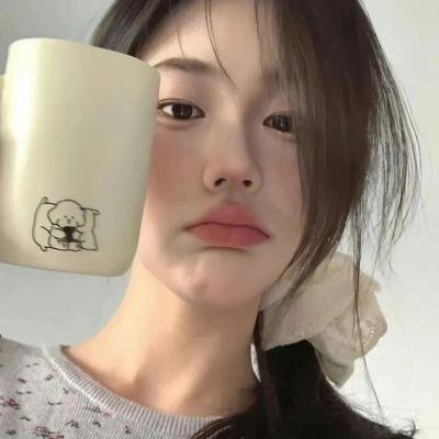 赖猫的狮子倒影海报